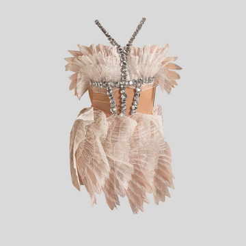 Ethereal Mini Dress With Sheer Wings Texture And Crystal Embellishments - White