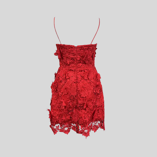 Mini Dress with Delicate Floral Lace Details - Red